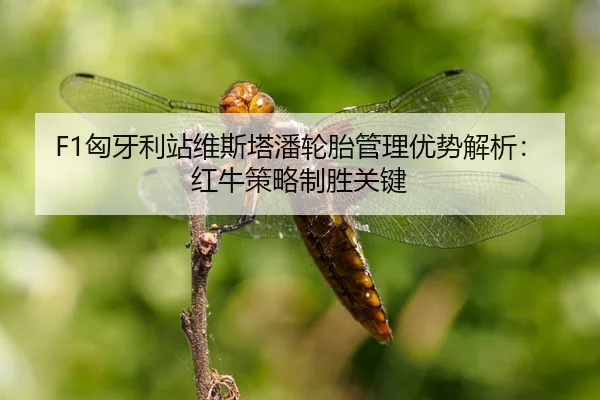 xiong-ya-li-zhan-wei-si-ta-pan-lun-tai-guan-li-you-shi-jie-xi-hong-niu-ce-lve-zhi-sheng-guan-jian-3-311.jpg