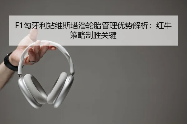 F1匈牙利站维斯塔潘轮胎管理优势解析：红牛策略制胜关键